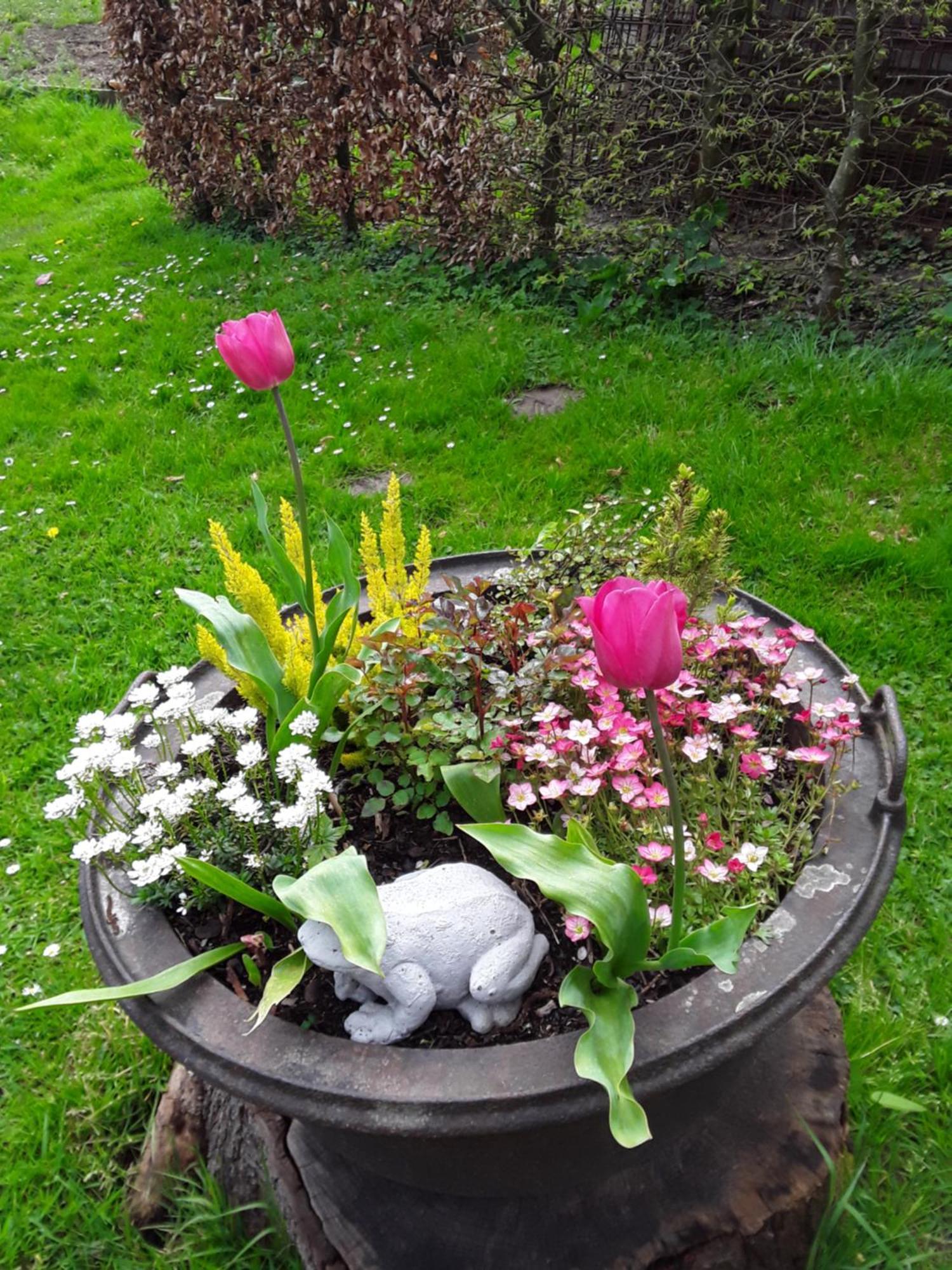 Un Week-end A La Campagne Bed & Breakfast *