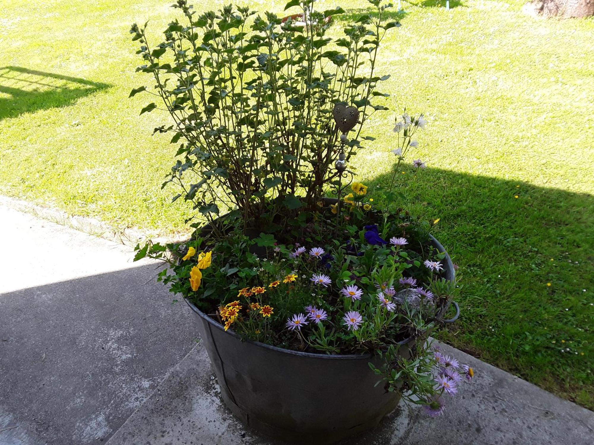 Bed & Breakfast Un Week-end A La Campagne *